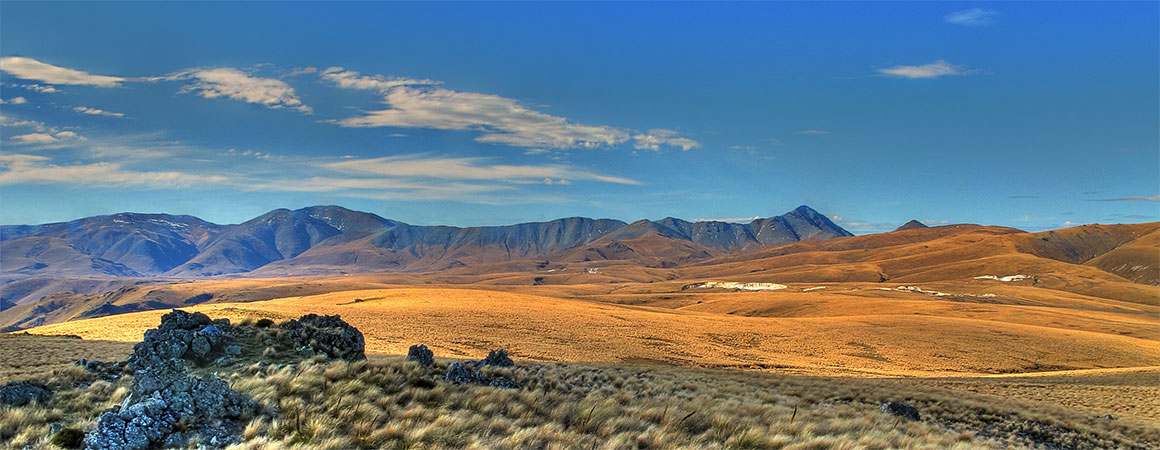 central otago landscape